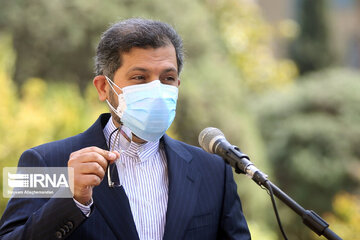 Iranians to vote in 133 countries across world : FM spox