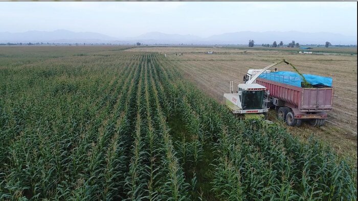 نجات آب در اقلیم خشک؛ هرمزگان الگوی نوین آبیاری ایران