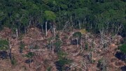 برزیل؛ ردیابی محصولات کشاورزی برای مقابله با جنگل‌زدایی در آمازون
