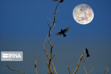 Super Lune 2021: des scenes magnifiques dans le ciel de Hamedan 