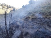 آتش‌سوزی در منطقه حفاظت شده مانه وسملقان مهار شد