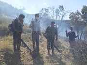 عاملان آتش‌سوزی جنگل‌های ارسنجان دستگیر شدند