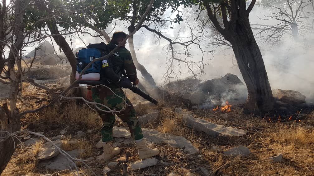 آتش‌سوزی همچنان منابع جنگلی کهگیلویه و بویراحمد را تهدید می‌کند
