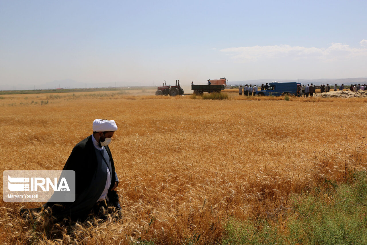 ۳۰ میلیارد ریال زکات در مهاباد جمع آوری شد