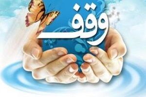 نیکوکاران استان بوشهر ۲ قطعه زمین وقف کردند