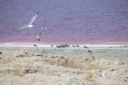 میزان بارش در حوضه دریاچه ارومیه ۳۳ درصد کاهش یافت