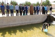 ۲ هزار قطعه بچه ماهی به حوضچه‌ هنرستان یاسوج منتقل شد