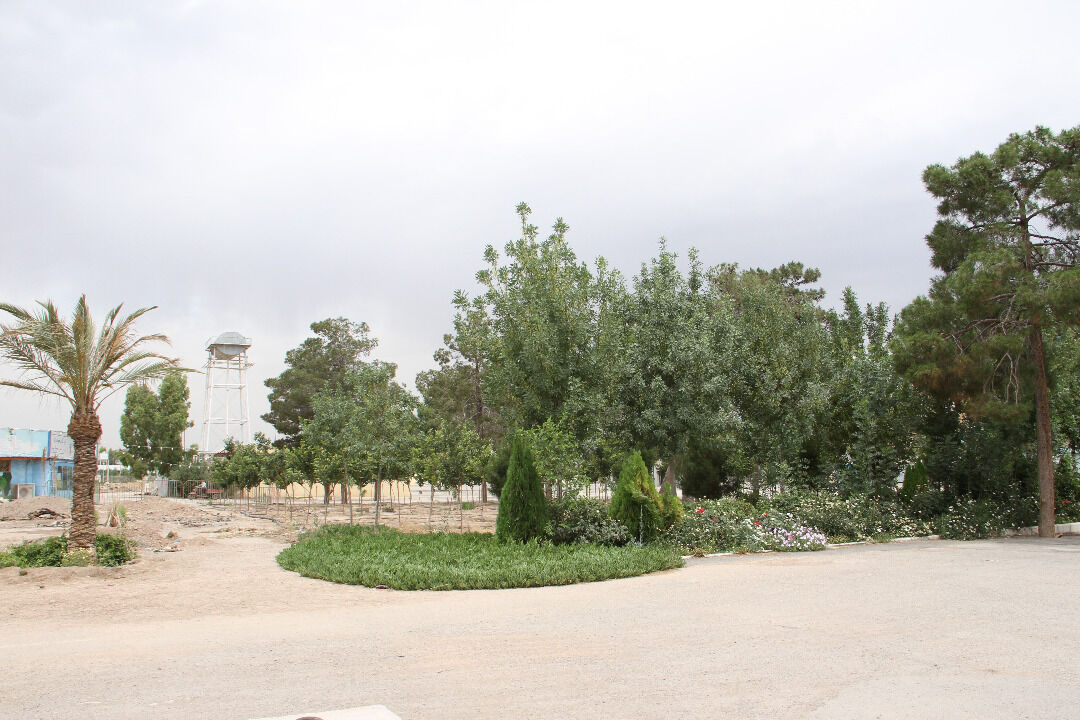 بوستان ۱۵ هزار متری در مسجد جمکران احداث شد