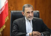 Velayati highlights Iran-Iraq education ties in call with Iraqi President