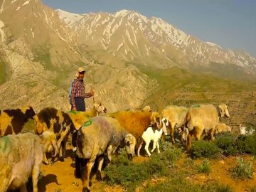 Iranian nomads in Kohgiluyeh and Boyer-Ahmad Province