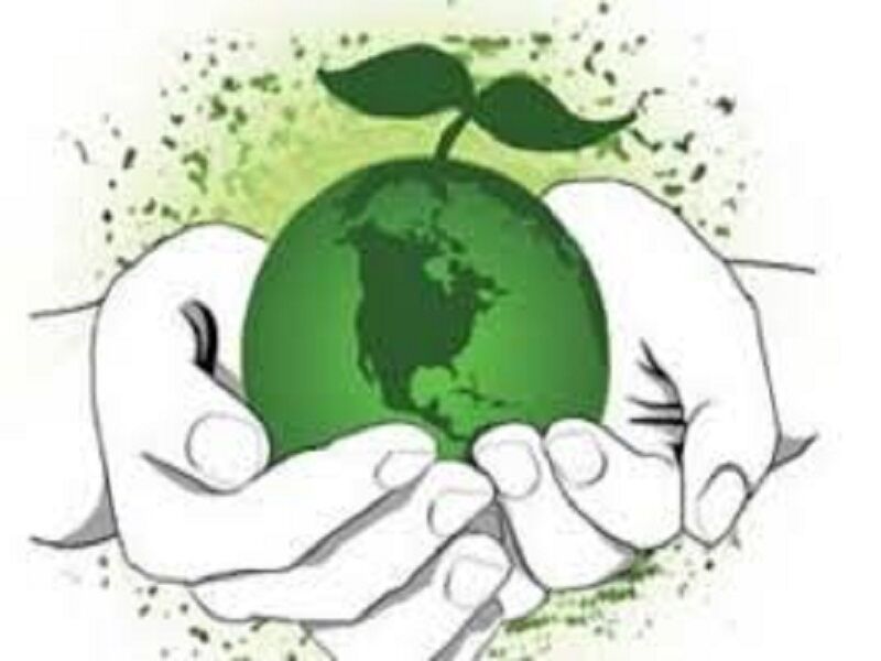 ۷۷ برنامه آموزشی محیط زیستی در استان بوشهر اجرا شد



