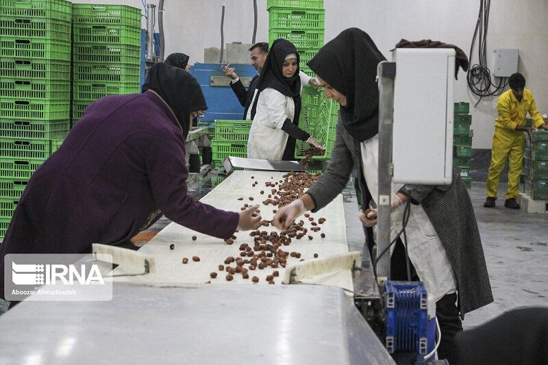 شانزدهمین جشنواره تجلیل از تعاونی‌های برتر کردستان برگزار می‌شود