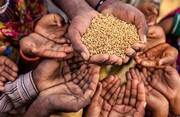 گرسنگی در عربستان و عمان بیشتر از ایران است+ سند