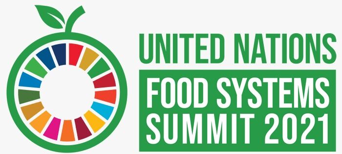 UN Food Systems Summit releases potential solutions for local, regional and global action