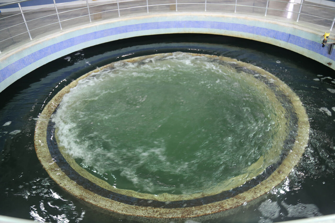 معاون استاندار اردبیل: آب شرب اردبیل بهداشتی است 