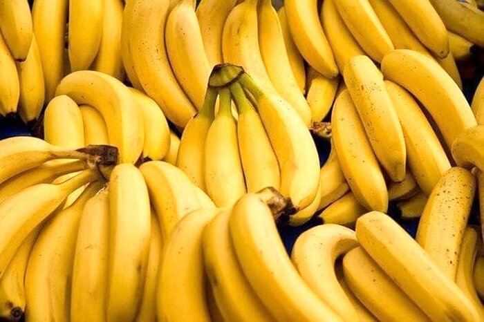 آغاز اجرای طرح توسعه هزار هکتاری تولید موز در سواحل مکران