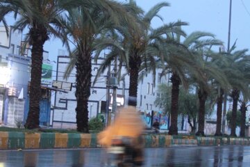 باران و رعد و برق شدید شهرستان‌های جنوبی بوشهر را فراگرفت


