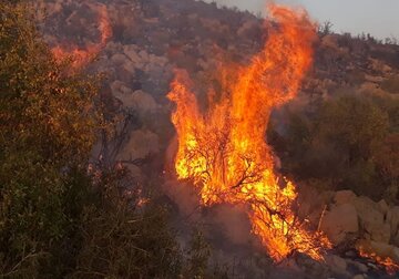مهار آتش سوزی جنگل ها  و مراتع گچساران