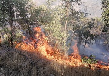 جنگل ها و مراتع منطقه حفاظت شده "خامی" گچساران دوباره آتش گرفت