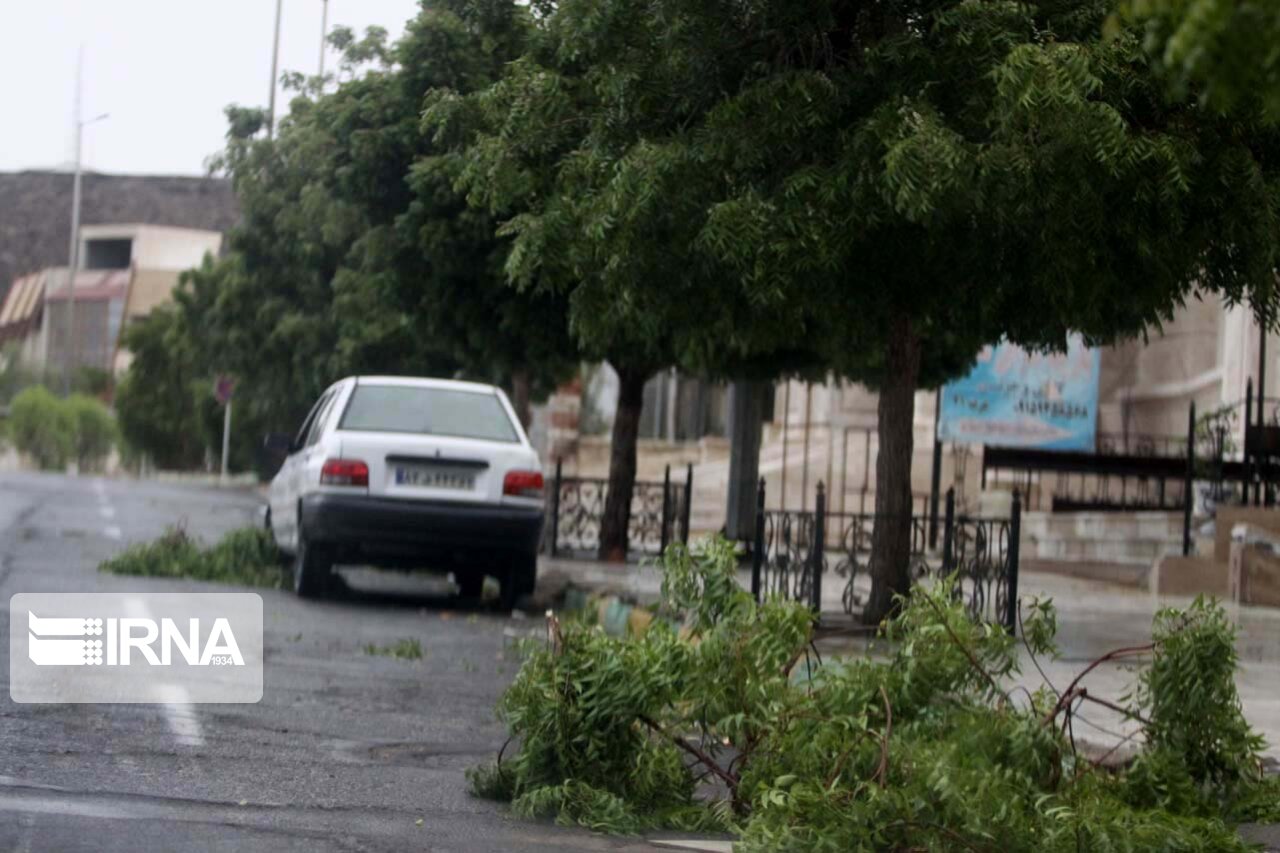 بارش پراکنده باران و وزش باد برای فارس  پیش بینی شد 