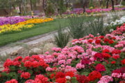 Iran : les beautés du jardin fleuri de la ville d'Abadeh au sud