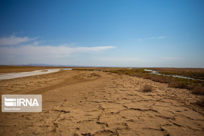 ۹۸ درصد از تالاب بین‌المللی گاوخونی خشک شد