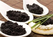 Las exportaciones iraníes de caviar y  y carne de esturión superaron los 16 millones de dólares el año pasado
