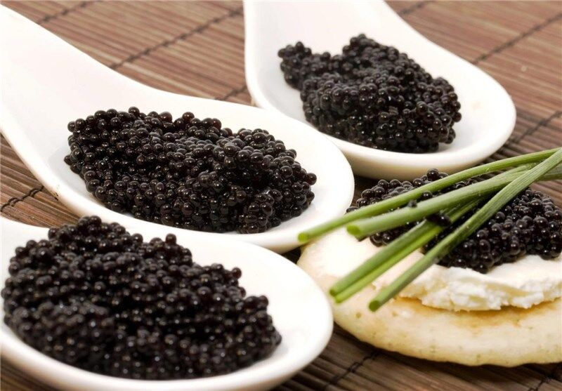 Las exportaciones iraníes de caviar y  y carne de esturión superaron los 16 millones de dólares el año pasado