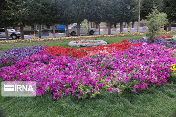 El magnífico jardín de flores de Abade