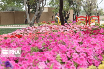 El magnífico jardín de flores de Abade