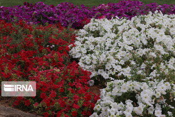 El magnífico jardín de flores de Abade