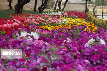 El magnífico jardín de flores de Abade