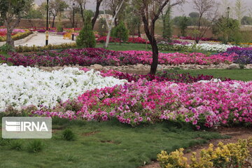 El magnífico jardín de flores de Abade