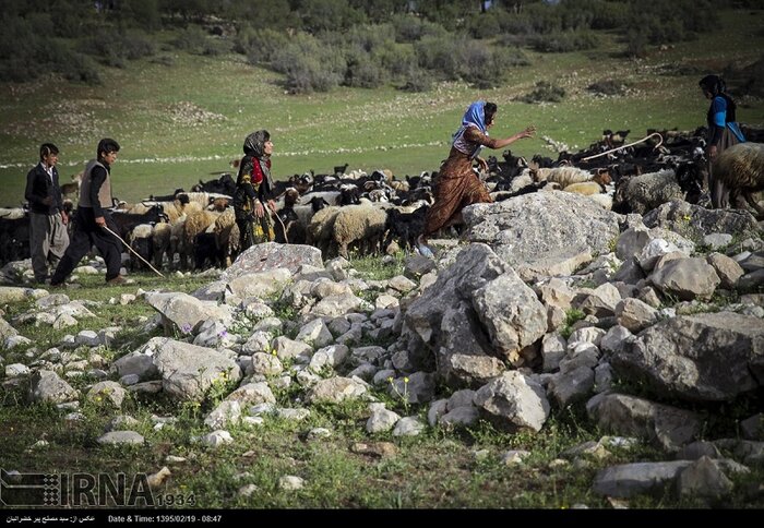 هورامان در یک قدمی ثبت جهانی 