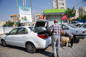 بازار فروش دام کرمانشاه در عید قربان