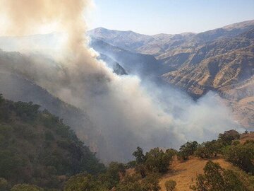 تلاش برای مهار آتش در منطقه حفاظت شده بوزین و مرخیل پاوه ادامه دارد 