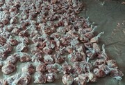 بیش از ۲۷ تن گوشت قربانی در خراسان جنوبی اهدا شد