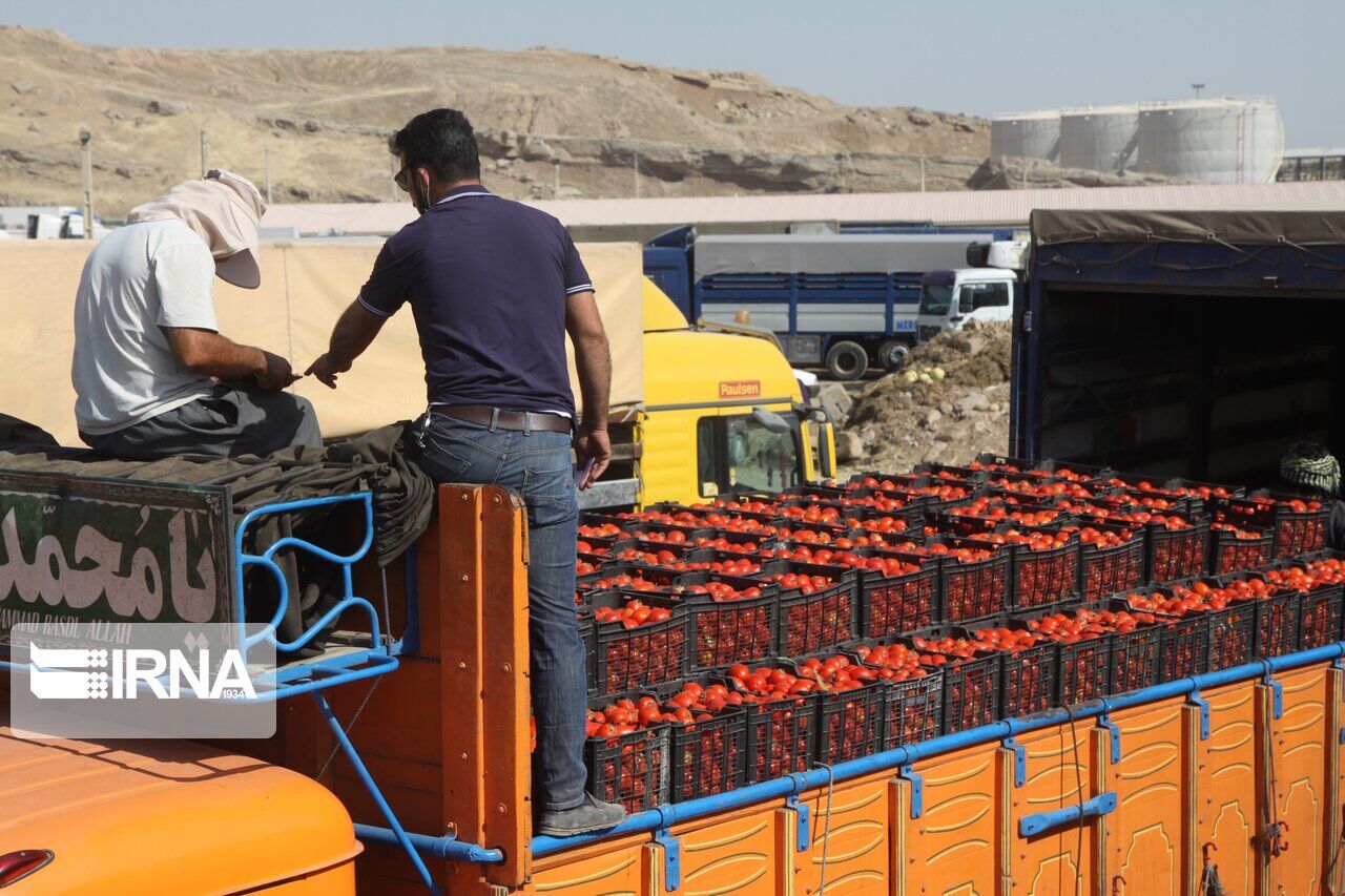 صدور ۴۹ هزار تن محصولات کشاورزی از مرز مهران به عراق 