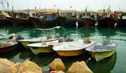 دریابست؛ ضرورتی برای احیای ذخایر آبزیان خلیج فارس