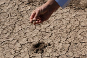 میزان فرسایش خاک در همدان ۱۲ تن در هکتار است