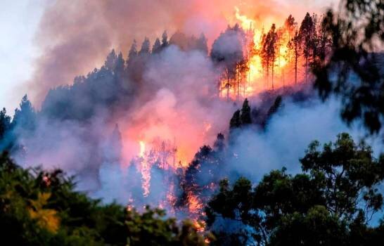 هزاران هکتار از اراضی اسپانیا در آتش سوخت