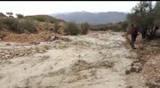 فرماندار فیروزآباد: بارش‌ها به بخش کشاورزی شهرستان زیان رساند 