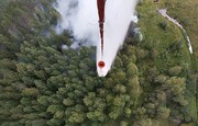 آتش سوزی در جنگل های روسیه، نقاط مسکونی را تهدید می کند