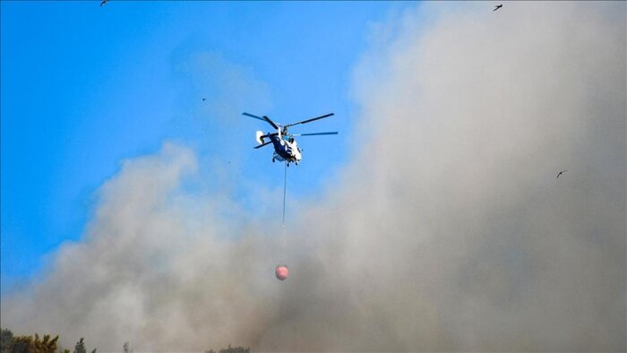 آتش سوزی در ۲۰ هکتار از جنگل‌های صفر مرزی سردشت مهار شد