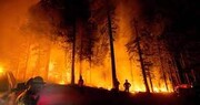 کالیفرنیا به خاطر آتش سوزی های گسترده با خطر قطع برق مواجه است 