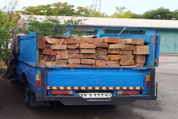 ۶۰ اصله چوب‌آلات قاچاق جنگلی در اردبیل کشف شد