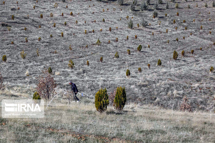 سمنان اولین استان کشور در تکمیل اجرای طرح رفع تداخلات اراضی است