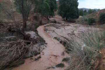 تجاوز به حریم رودخانه‌ها علت بروز سیلاب‌های غرب مازندران