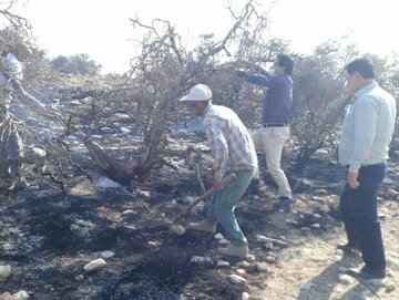 آتش‌سوزی تنگه هایقر فیروزآباد مهار شد