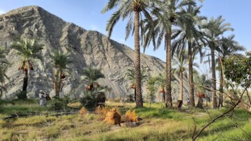 چابهار/ هامین در بلوچستان
